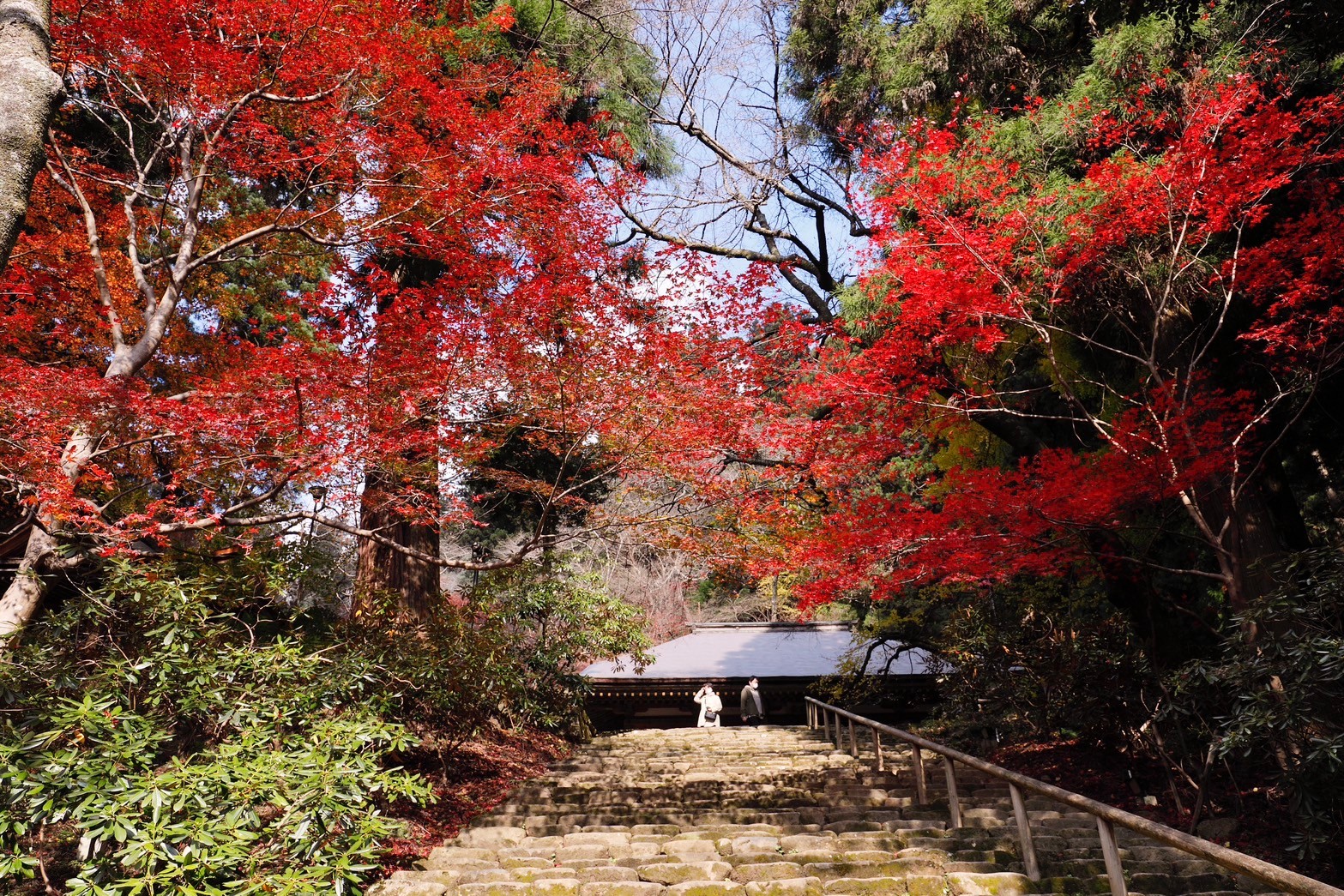 2025版｜奈良・宇陀市の紅葉絶景スポットと秋の過ごし方ガイド